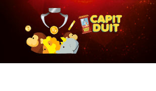 Capit Duit